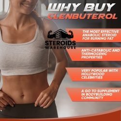 Buy Clenbuterol