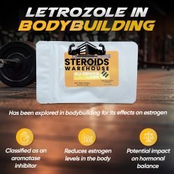 Buy Letrozole