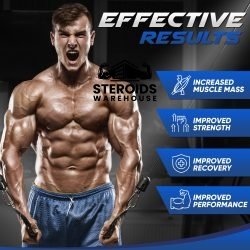 Buy Oxymetholone